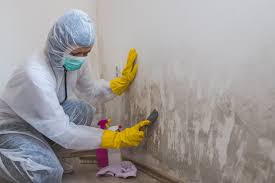 Mold Prevention & Removal